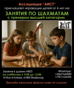 Шахматы